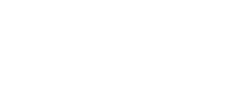 EPICVision